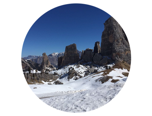 DES COIFFEURS À VENISE & CORTINA